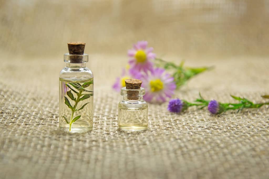 aroma terapia y aceites esenciales