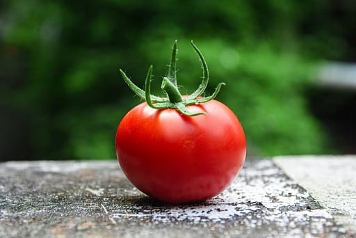 closeup de tomate rojo - alimentos con colageno