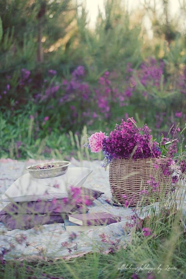 picnic con flores y libros